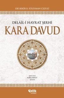 Delail-İ Hayrat Şerhi Kara Davut